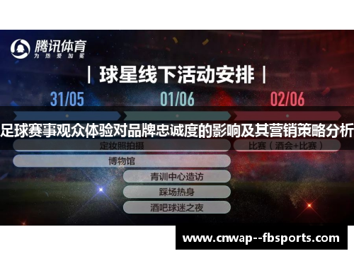 足球赛事观众体验对品牌忠诚度的影响及其营销策略分析